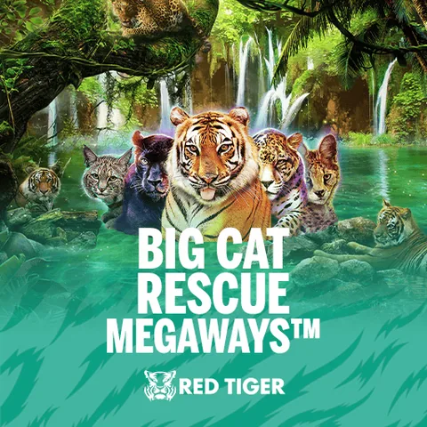 Big Cat Rescue Megaways oyun görseli
