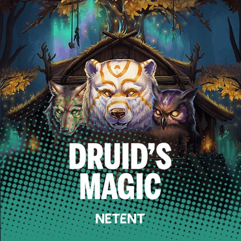 Druids Magic oyun görseli