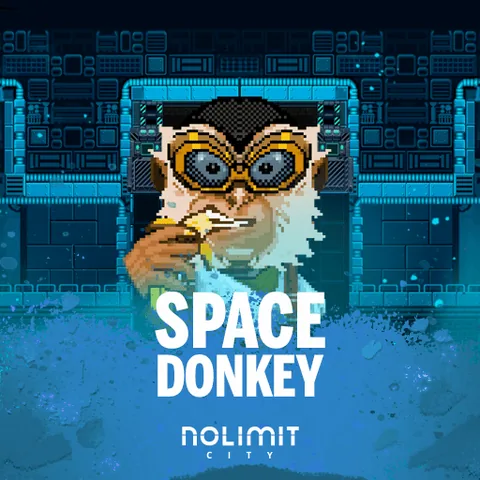 Space Donkey oyun görseli